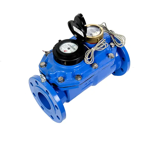 СТВК 1 80/20 с импульсным выходом (ДГ) IP68