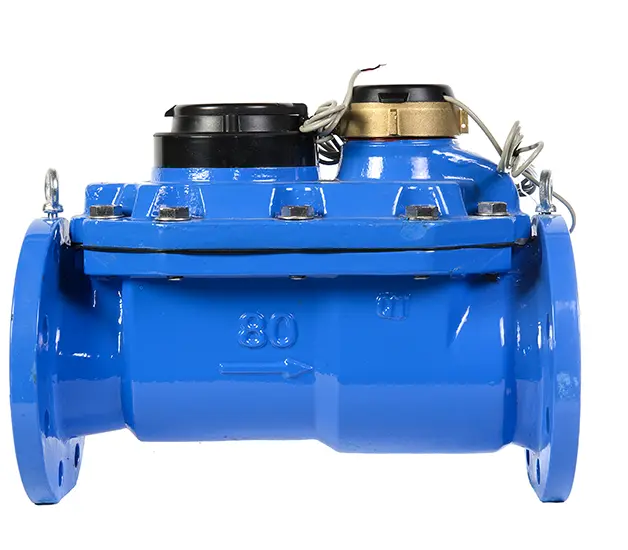 СТВК 1 80/20 с импульсным выходом (ДГ) IP68 2